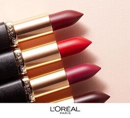 Ilgai išliekantys lūpų dažai L'Oreal Paris Color Riche Matte, 640 Erotique, 4.8 g kaina ir informacija | Lūpų dažai, blizgiai, balzamai, vazelinai | pigu.lt