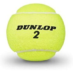 Lauko teniso kamuoliukai Dunlop TB Club AC 3 601334, 3 vnt, geltoni kaina ir informacija | Lauko teniso prekės | pigu.lt