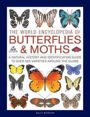 Butterflies &amp; Moths, The World Encyclopedia of: A natural history and identification guide to over 565 varieties around the globe kaina ir informacija | Kelionių vadovai, aprašymai | pigu.lt