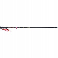 Ėjimo lazdos Viking Kettera Pro Lady 610/25/7713, 105-135 cm kaina ir informacija | Ėjimo lazdos | pigu.lt