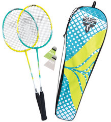 Badmintono rinkinys Talbot Torro 2-Fighter kaina ir informacija | Badmintonas | pigu.lt