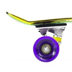 Riedlentė Nils Extreme Pennyboard PNB01 Rainbow, įvairių spalvų kaina ir informacija | Riedlentės | pigu.lt