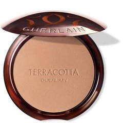 Пудра для контурирования лица Guerlain Terracotta Bronzing Powder, 10 г цена и информация | Бронзеры (бронзаторы), румяна | pigu.lt