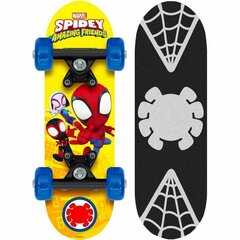 Riedlentė Spidey Stamp 17, 43cm цена и информация | Скейтборды | pigu.lt