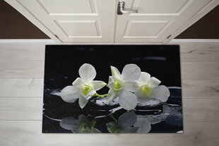 Durų kilimėlis Orchidėjos 150x100 cm kaina ir informacija | Durų kilimėliai | pigu.lt