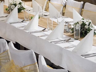Atspari dėmėms matinė staltiesė, balta, 180x300 cm kaina ir informacija | Staltiesės, servetėlės | pigu.lt