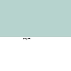 Pantone paklodė Calm Sea, 160 x 270 cm kaina ir informacija | Paklodės | pigu.lt