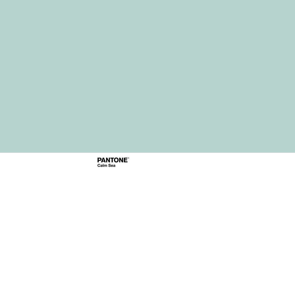 Pantone paklodė Calm Sea, 160 x 270 cm kaina ir informacija | Paklodės | pigu.lt