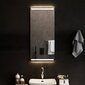 Vonios kambario led veidrodis, 40x90cm kaina ir informacija | Veidrodžiai | pigu.lt
