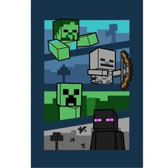 Vaikiškas pledas Minecraft, 100x150 cm kaina ir informacija | Lovatiesės ir pledai | pigu.lt