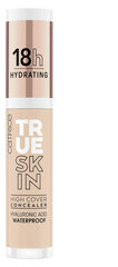 Maskuojamasis kremas Catrice True Skin, 4,5 ml kaina ir informacija | Makiažo pagrindai, pudros | pigu.lt