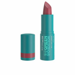 Drėkinantis lupdažis Maybelline Green Edition 010-lagoon, 10 g kaina ir informacija | Lūpų dažai, blizgiai, balzamai, vazelinai | pigu.lt