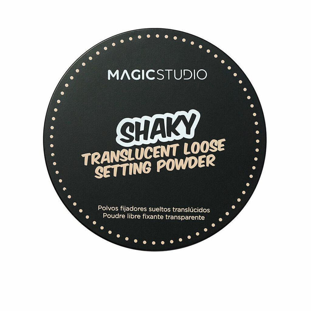 Biri pudra Magic Studio Translucent Setting Powder Shaky, 11 g цена и информация | Makiažo pagrindai, pudros | pigu.lt