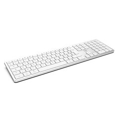 Mobility Lab ML300900 macOS AZERTY kaina ir informacija | Klaviatūros | pigu.lt