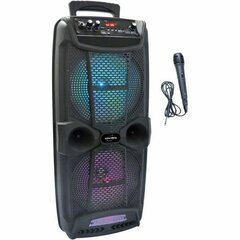 Портативный Bluetooth-динамик Inovalley KA20 Karaoke 800 W цена и информация | Аудиоколонки | pigu.lt