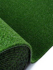 Durų kilimėlis Astroturf 91x100 cm kaina ir informacija | Durų kilimėliai | pigu.lt