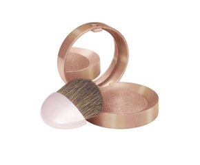 Skaistalai Bourjois Mono 2.5 g kaina ir informacija | Bronzantai, skaistalai | pigu.lt