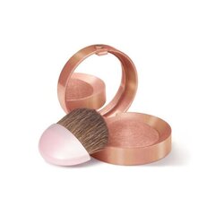 Skaistalai Bourjois Paris Blush 2.5 g kaina ir informacija | Bronzantai, skaistalai | pigu.lt