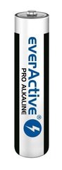 everActive LR0310PAK kaina ir informacija | Akumuliatoriai vaizdo kameroms | pigu.lt