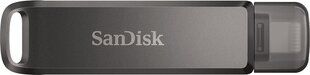 Sandisk iXpand 256GB USB 3.0 kaina ir informacija | USB laikmenos | pigu.lt