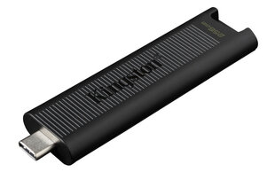 Kingston DataTraveler 256GB USB 3.2 kaina ir informacija | USB laikmenos | pigu.lt