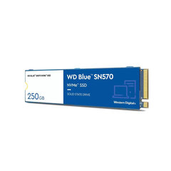 Жесткий диск Western Digital WD Blue SN570 250 GB M.2 цена и информация | Жёсткие диски (SSD, HDD) | pigu.lt