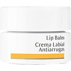 Крем от морщин для губ Dr. Hauschka Lip Balm (4,5 мл) цена и информация | Помады, бальзамы, блеск для губ | pigu.lt