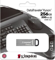 Флеш-накопитель Kingston DTKN/256GB цена и информация | USB накопители | pigu.lt