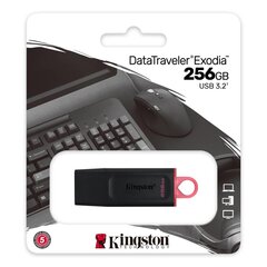 USB-накопитель Kingston USB Flash Drive DataTraveler Exodia 256 ГБ, USB 3.2 Gen 1, черный цена и информация | USB накопители | pigu.lt