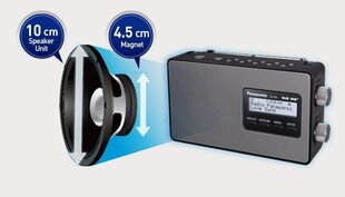 Panasonic RF-D10GN-K kaina ir informacija | Radijo imtuvai ir žadintuvai | pigu.lt