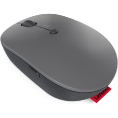 Мышь Lenovo GY51C21211, серая цена и информация | Мыши | pigu.lt