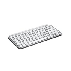 Logitech MX Keys Mini kaina ir informacija | Klaviatūros | pigu.lt