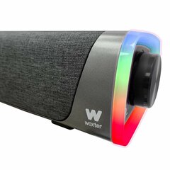 Woxter Big Bass 320 kaina ir informacija | Namų garso kolonėlės ir Soundbar sistemos | pigu.lt