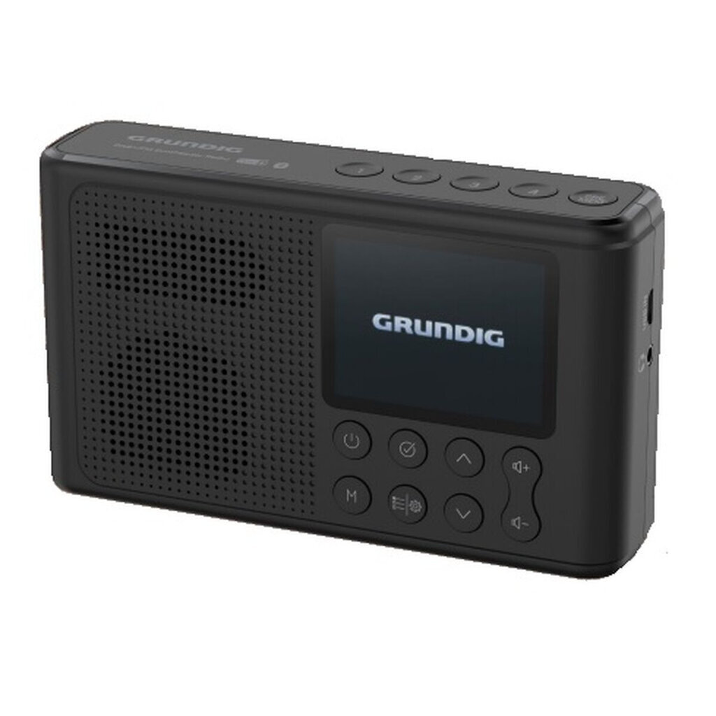 Grundig Music 6500 цена и информация | Radijo imtuvai ir žadintuvai | pigu.lt