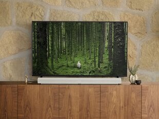 Sonos Soundbar Arc ARCG1EU1 kaina ir informacija | Namų garso kolonėlės ir Soundbar sistemos | pigu.lt