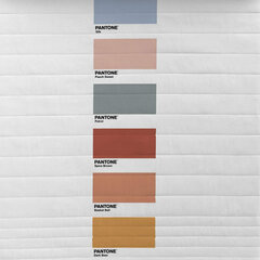 Pantone antklodė Fun Deck C, 180 x 260 cm kaina ir informacija | Antklodės | pigu.lt