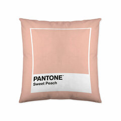 Наволочка для декоративной подушки Sweet Peach Pantone цена и информация | Декоративные подушки и наволочки | pigu.lt