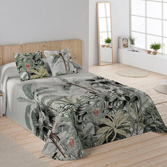 Lovatiesė (antklodė) Icehome Amazonia (180 x 260 cm) (Lova 80/90) kaina ir informacija | Antklodės | pigu.lt