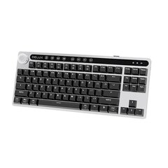 Wireless mechanical keyboard Delux KS200D (Grey) цена и информация | Клавиатуры | pigu.lt