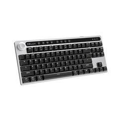 Wireless mechanical keyboard Delux KS200D (Grey) цена и информация | Клавиатуры | pigu.lt