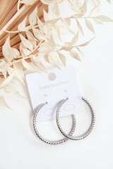 Fashionable earrings in the shape of a circle Silver 26369-uniw цена и информация | Серьги | pigu.lt