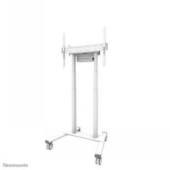 TV SET ACC FLOOR STAND 37-100 /FL55-875WH1 NEOMOUNTS цена и информация | Кронштейны для монитора | pigu.lt