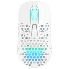 Xtrfy M42 Wireless RGB, White kaina ir informacija | Pelės | pigu.lt