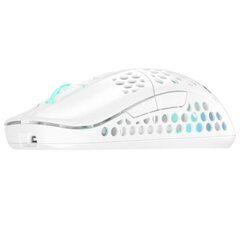 Xtrfy M42 Wireless RGB, White kaina ir informacija | Pelės | pigu.lt