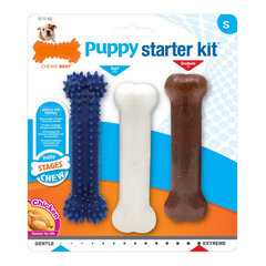 Šunų kramtomasis žaislas Nylabone Extreme Chew Starter Kit Šuniukai Višta Nailonas Termoplastikas (3 pcs) kaina ir informacija | Antklodės | pigu.lt