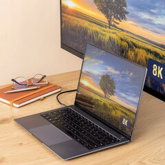 Reagle USB-C/DisplayPort, 1.8 m цена и информация | Кабели и провода | pigu.lt