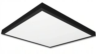 Lubinis LED šviestuvas 60x60 40W цена и информация | Потолочные светильники | pigu.lt