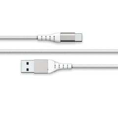 Кабель USB A — USB C Big Ben Interactive FPLIAC2MW (2 м) цена и информация | Кабели и провода | pigu.lt