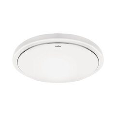 Белый потолочный светильник с датчиком движения STRÜHM pedro led sl 15w 4000k, 210 x 120 x 45 мм цена и информация | Потолочные светильники | pigu.lt