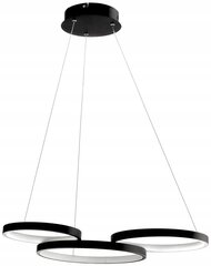 Регулируемый светодиодный потолочный светильник 35 Вт Oxford цена и информация | Потолочные светильники | pigu.lt